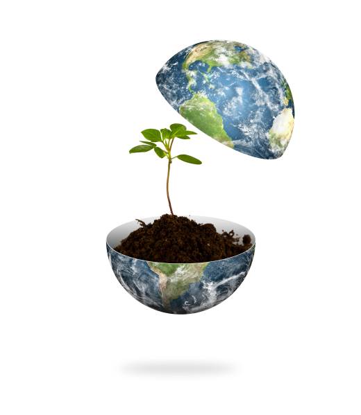 planet-earth-split-half-with-plant